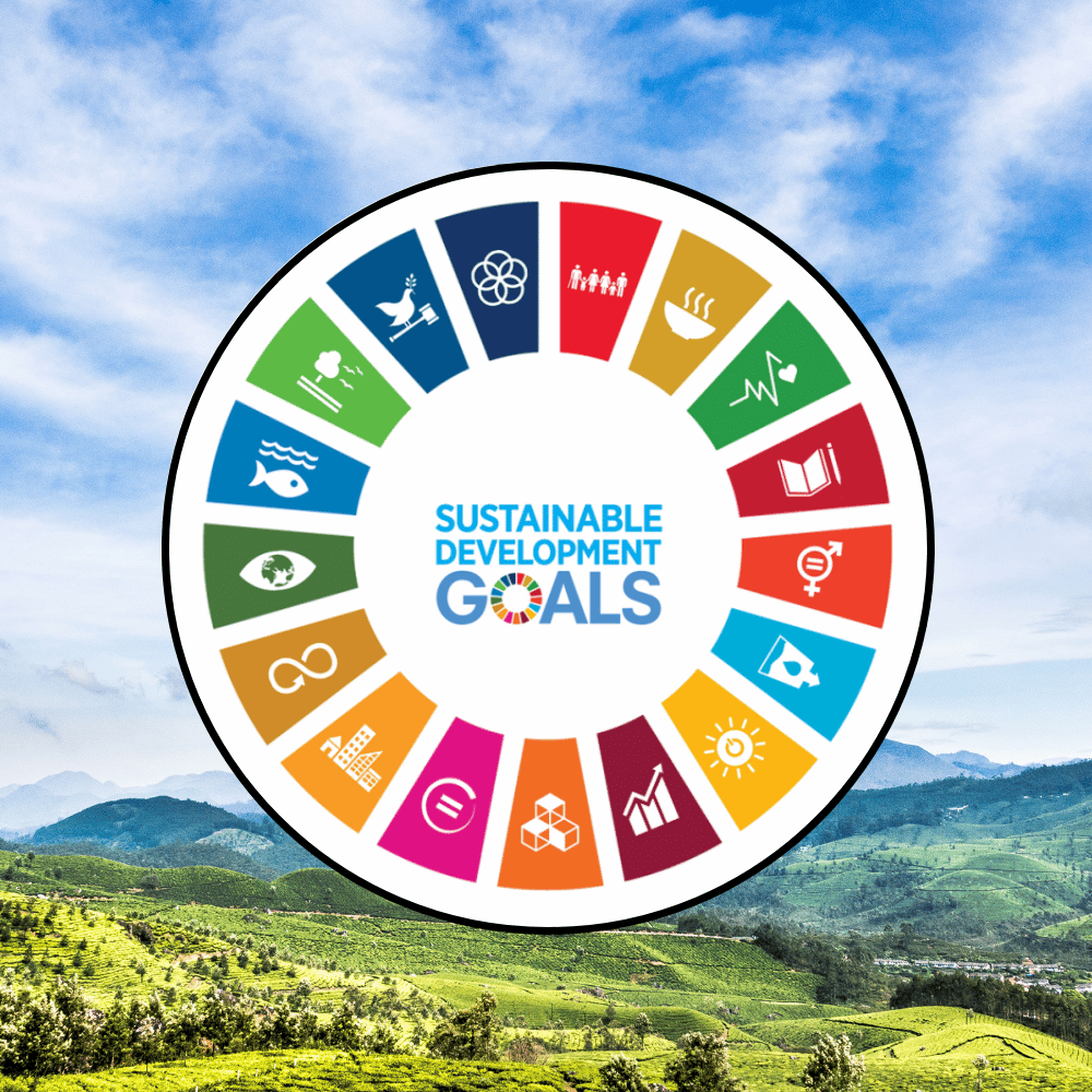 SDG Workshop